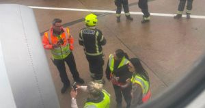 Chaos as bird plunges Ryanair flight into emergency and burning smell fills cabin