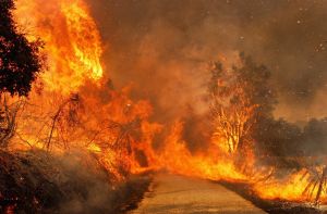 Open brief aan kabinet-Jetten en Europese Commissie: Kom in actie voor klimaat, natuur en voor vrede