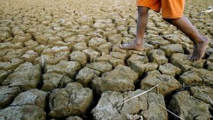 Lo studio choc: il 40% delle terre emerse saranno aride entro fine secolo