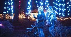 Magical illuminated trail to dazzle festive visitors at royal estate this winter