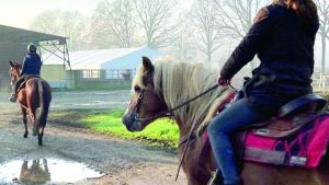 Cade da cavallo e resta semi-sorda: maxi risarcimento dopo dieci anni