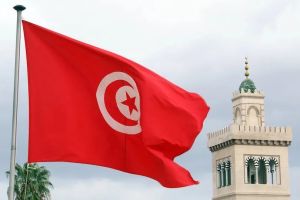 Tunisia at a Crossroads: The Arab Spring’s Lone Flame, Fifteen Years On