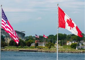 Envidia canadiense