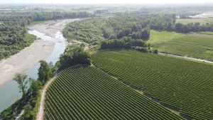 Il consiglio regionale istituisce una Giornata per la pianura, le opposizioni: «Il territorio è devastato»