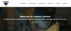 Tasmea Shares Jump 7.4% As Data Center Electrification Bet Powers Programmatic Growth Amid Maxim Deal