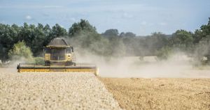 Farmers demand government action to reverse UK's falling food self-sufficiency