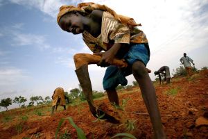 To end global hunger, invest in rural communities