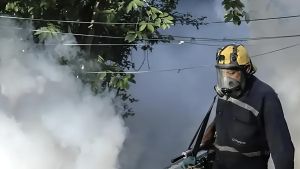 Monza, allarme zanzara tigre al pronto soccorso del San Gerardo: secondo giorno di disinfestazione anti-Dengue