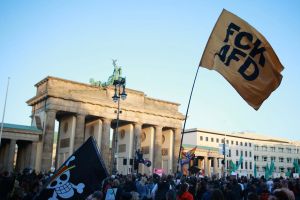 AfD botst met Duits en Europees recht bij plannen voor migratie en asiel