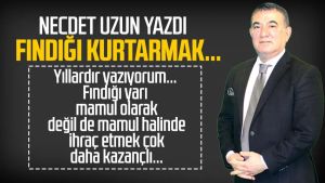 Necdet Uzun yazdı: Fındığı kurtarmak...