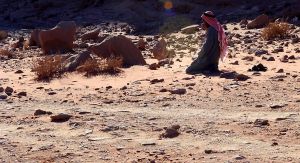 L’altro Islam: quando il Corano va oltre la lettera