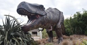 Norfolk attraction shortlisted for 'World Excellence Awards'