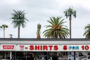 No one is fooled by California's fake trees. That's not the point.