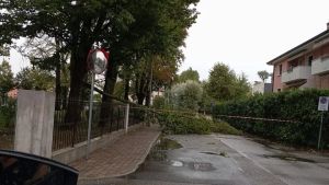 Blackout e alberi caduti: il maltempo si abbatte sul Veneziano