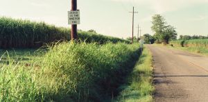 A journalist coined ‘the Bible Belt’ 100 years ago – it’s been oversimplifying the South ever since