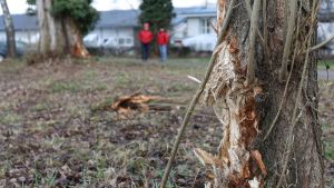 Nach heftigem Unfall im Februar: Das sind die Folgen für den 21-jährigen Raser