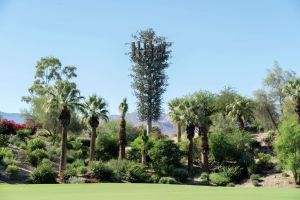 No one is fooled by California's fake trees. That's not the point.