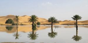 From drought to floods in North Africa: What could the super El Niño do next?