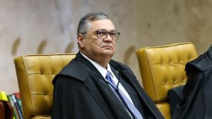 Dino lê o 247?