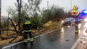 Bomba d’acqua, alberi caduti e sottopassi allagati nel Pesarese
