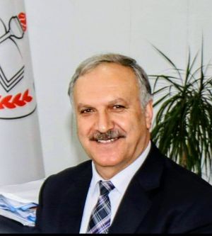 SÜMMANÎ BABA ŞENLİKLERİ