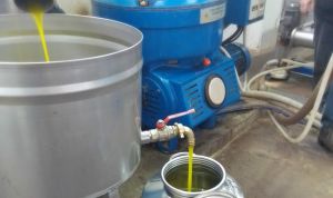Olio evo, Coldiretti Puglia: «Subito misure per giacenze. Nei magazzini ferme circa 61mila tonnellate»