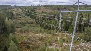 Maanomistus | Lukijalta: Siirtolinjojen alle jäävistä alueista pitäisi maksaa maanomistajalle jatkuva korvaus