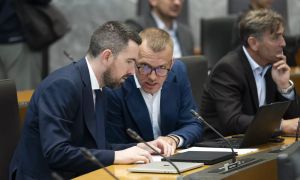 Bralna pismenost v državnem zboru