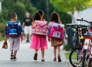 PISA-Katastrophe: Diese Bildungspolitik ist Volksverrat