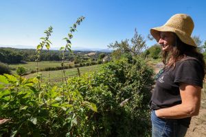 « Je suis comme Idéfix : je vois un arbre qui tombe, je pleure » : à Navarrenx, l’engagement d’une éleveuse pour sécuriser un havre de biodiversité