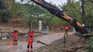 Del ES-Alert a levantar las restricciones: ¿qué falló en la previsión de las lluvias?