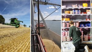 Politiikka | Lukijalta: Kansalliset maataloustuet on uudistettava ruokaturvan ja huoltovarmuuden turvaamiseksi