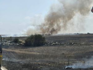 Bruciati oltre 7.900 ettari nel Parco dell’Alta Murgia, Coldiretti: «Prevenzione non sufficiente»