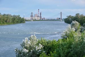 Fibre Excellence : 400 000 litres d’eaux contaminées déversés dans le Rhône
