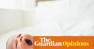 The Guardian view on falling birthrates: cash alone cannot buy belonging