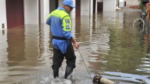 Maltempo, a Lignano strade chiuse: garage e negozi sott’acqua