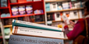 Läskrisen hotar nu på allvar svensk skola