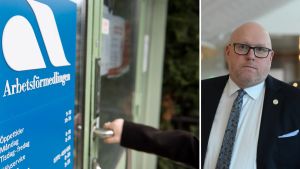 Så vill SD ändra i aktivitetsstödet