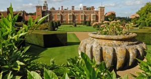 Dogs to be allowed on National Trust estate as part of new trial