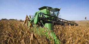 How soybeans took over the American diet – without anyone noticing