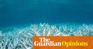 Australia and Canada can learn from each other on climate if we separate action from declaration