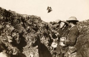 The Right Chemistry: Communication has taken flight since the days of carrier pigeons