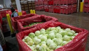 Cyclosporiasis outbreak: US officially ends largest outbreak linked to contaminated lettuce
