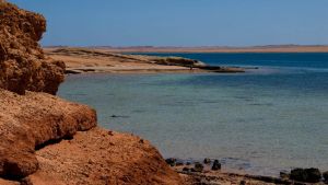 Houthis seize Yemen’s Red Sea coast, tighten grip on Bab al-Mandeb: Reports