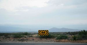 What Will You Do to Escape Uncertainty?
