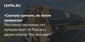«Cначала кричали, но потом привыкли»