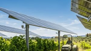 Agrivoltaico, il caso ’ditta israeliana’ sbarca all’attenzione del parlamento