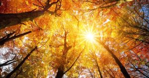 I love September, and not just because the kids are away
