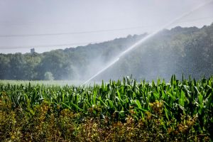 Agriculture : défendre nos agriculteurs, c’est défendre notre territoire