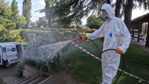 Dengue, due casi sospetti a Fiesole